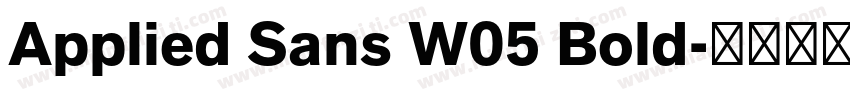 Applied Sans W05 Bold字体转换